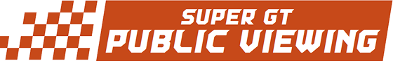 SUPER GT PUBLIC VIEWING