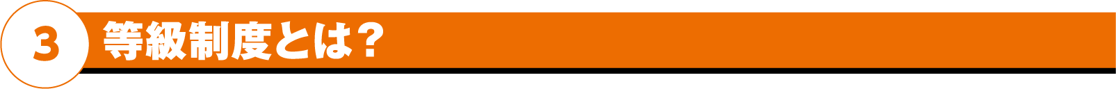 等級制度とは?